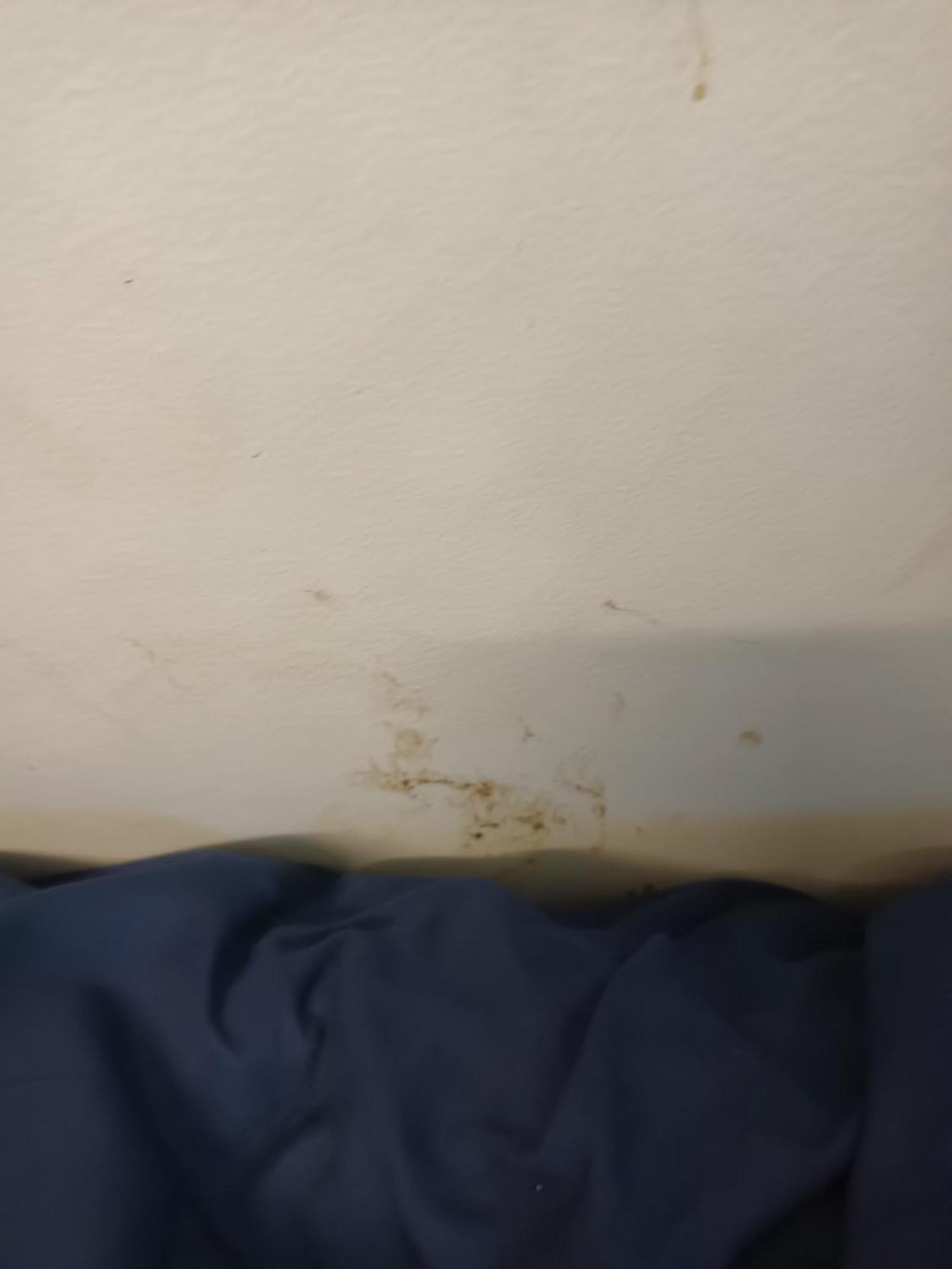 Single Room In Wollongong Near Uni Keiraville Стая снимка