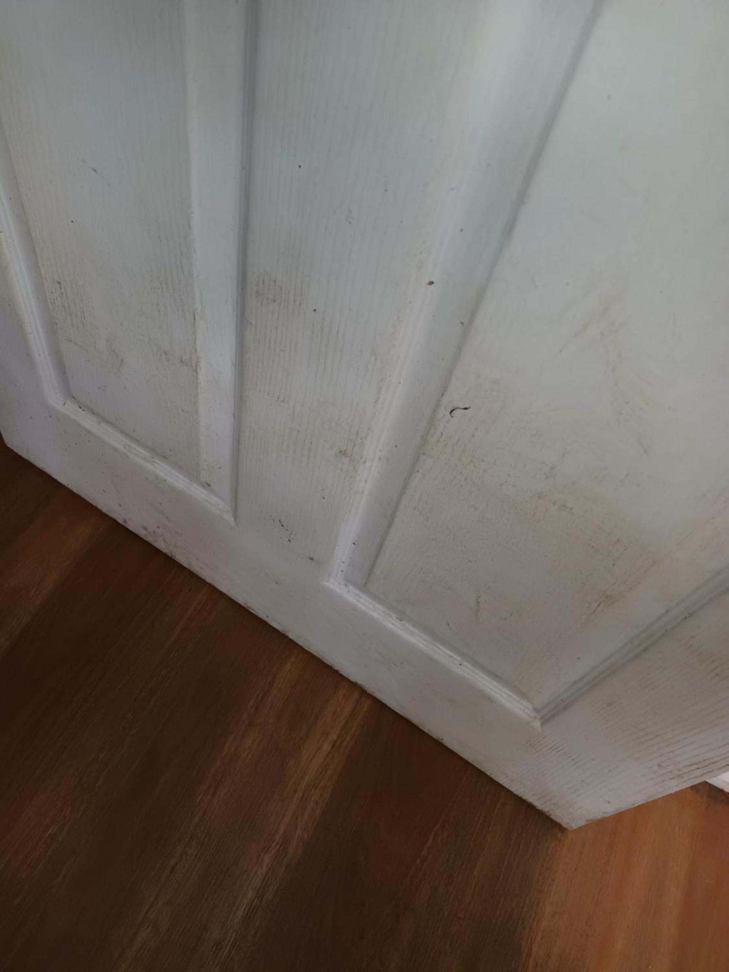 Single Room In Wollongong Near Uni Keiraville Стая снимка