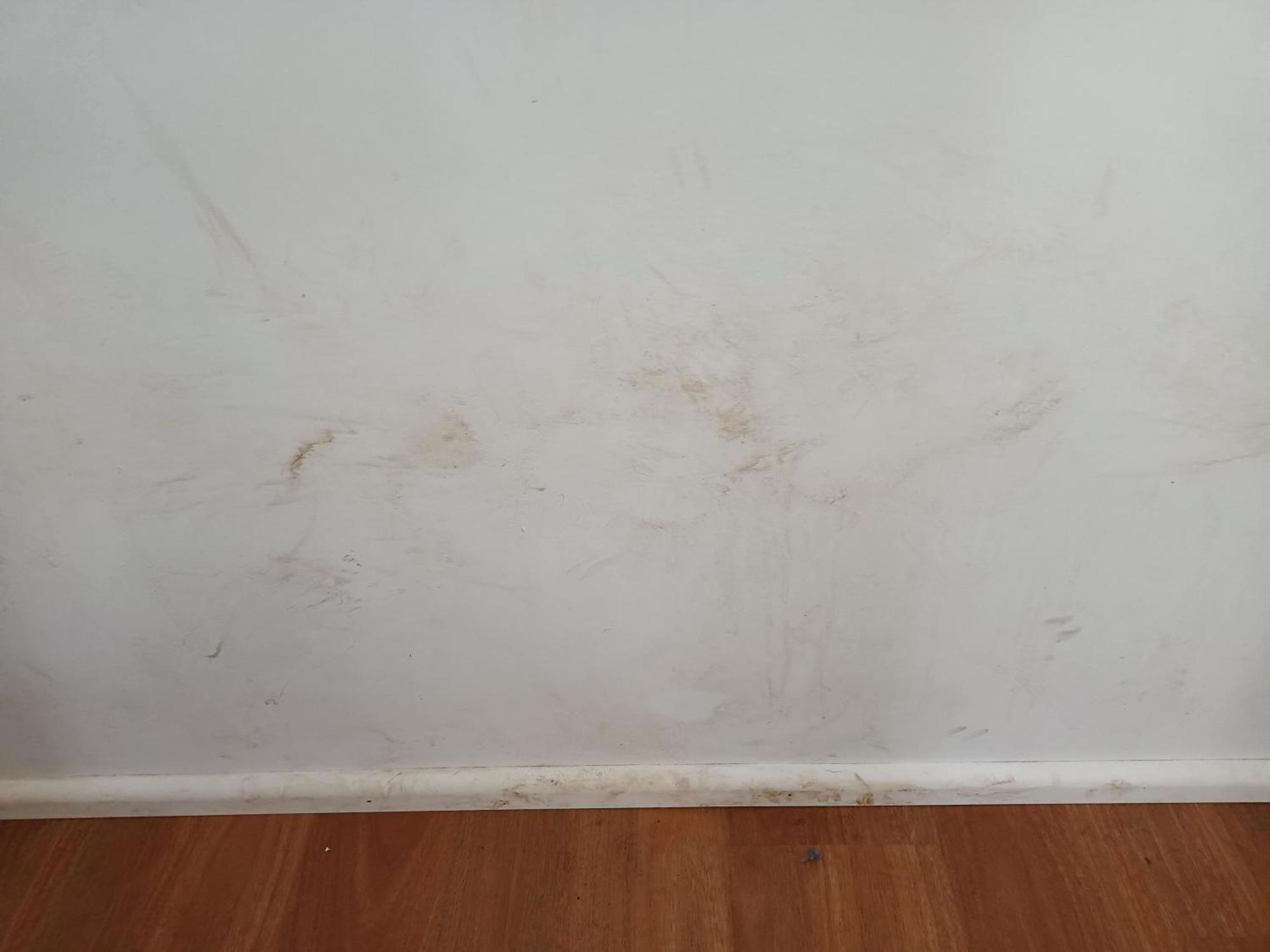 Single Room In Wollongong Near Uni Keiraville Стая снимка